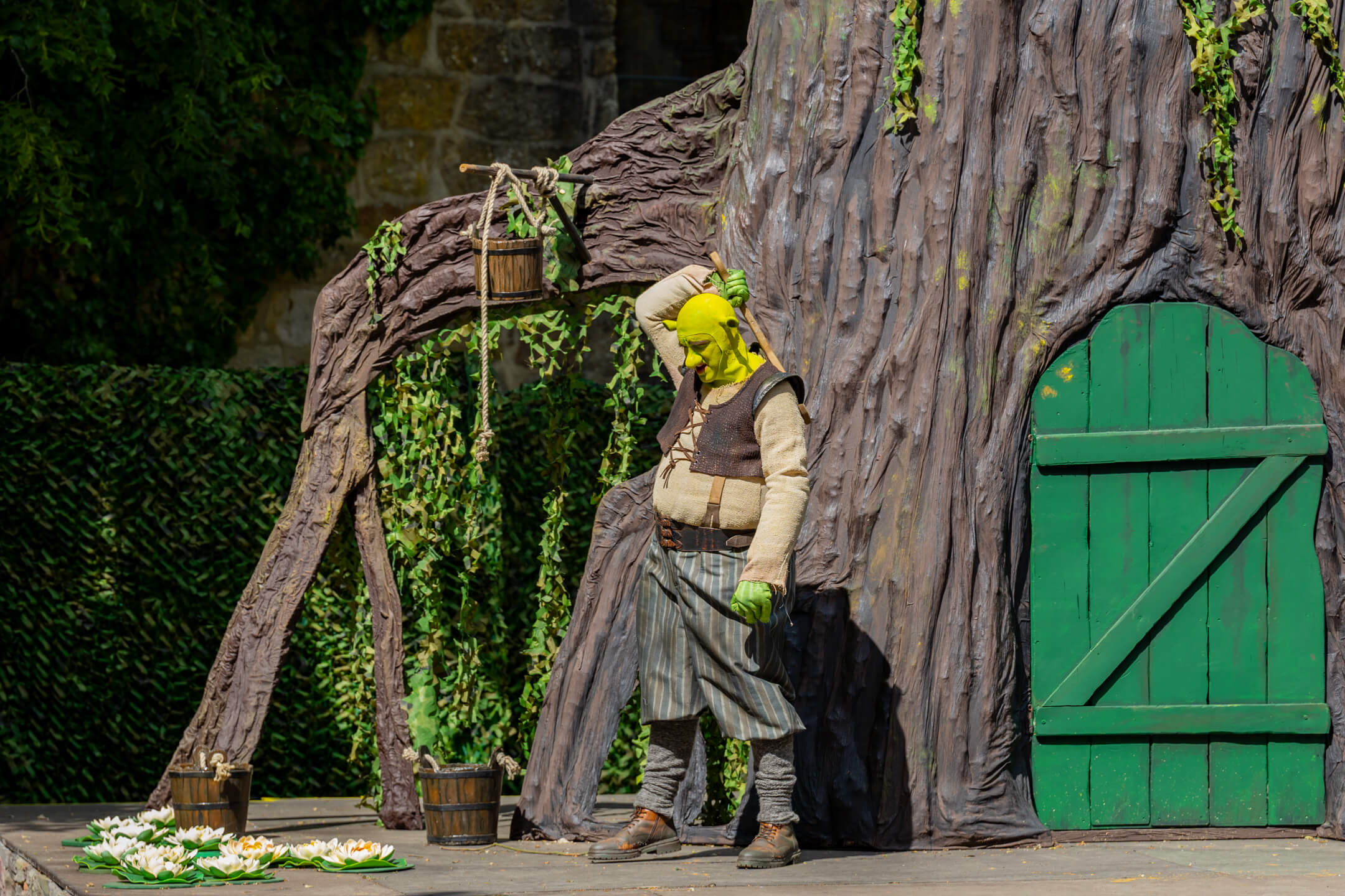 Shrek 2025 – Bild 64